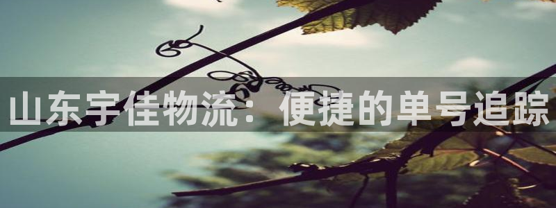 28圈v6能卖多少：山东宇佳物流：便