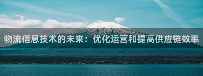28圈加拿大官网：物流信息技术的未来