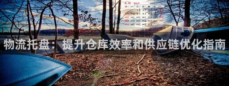28圈连接：物流托盘：提升仓库效率和