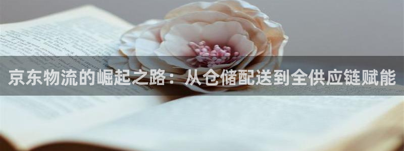 28圈预测网：京东物流的崛起之路：从