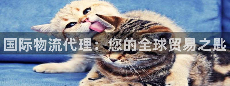 28圈注册登录链接：国际物流代理：您