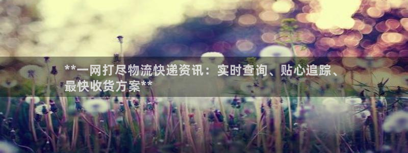 28圈登录用户名登录不上：**一网打