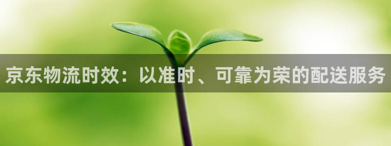28圈加拿大28：京东物流时效：以准