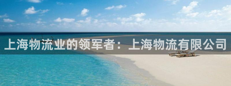 28圈加拿大在线预测：上海物流业的领
