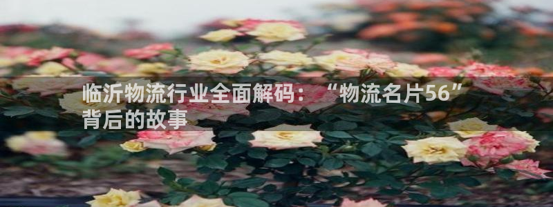 28圈推广链接是多少：临沂物流行业全