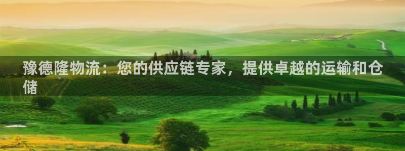 28圈连输10天：豫德隆物流：您的供
