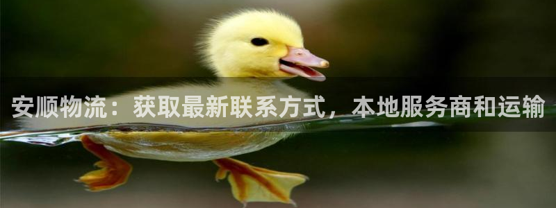28圈注册平台：安顺物流：获取最新联