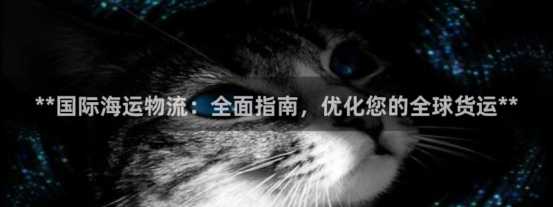 28圈注册链接入口：**国际海运物流