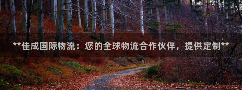 28圈黑吗：**佳成国际物流：您的全