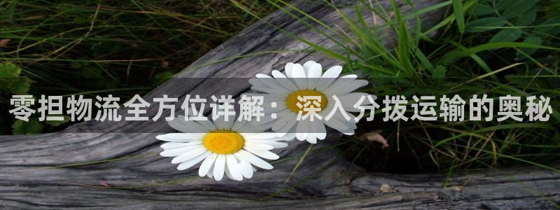28圈注册网站链接是什么：零担物流全