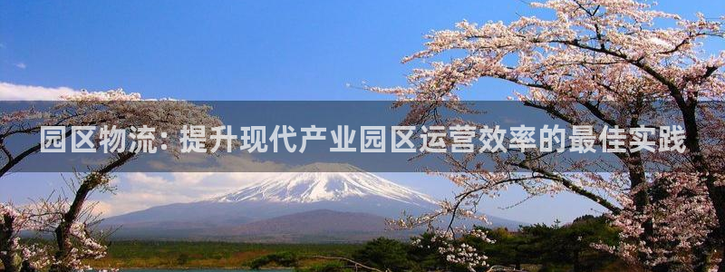 28圈游戏链接