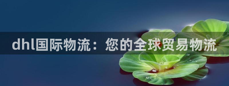 28圈网赌案件