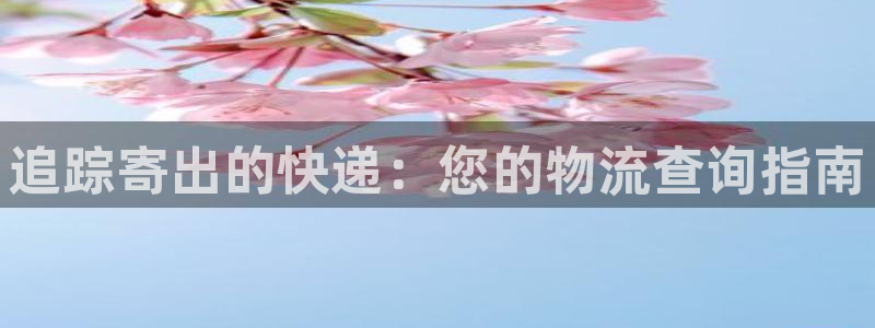 28圈预测网：追踪寄出的快递：您的物