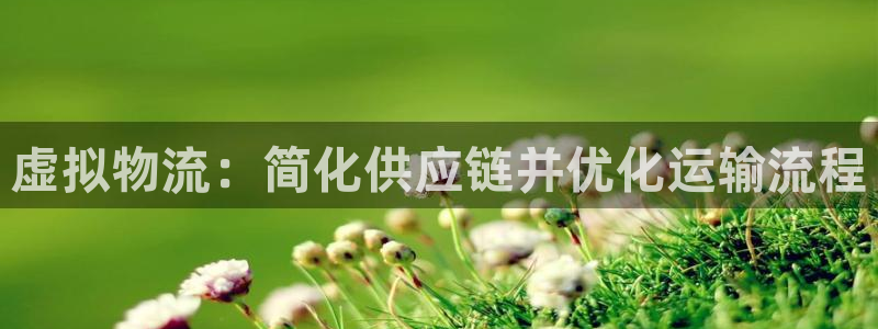 28圈p扣除是什么意思