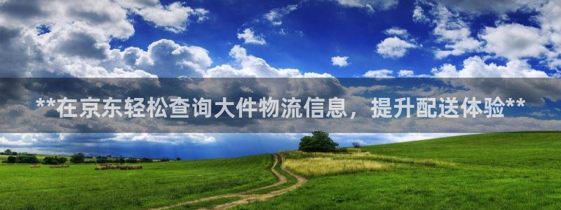 28圈官方网站预测：**在京东轻松查