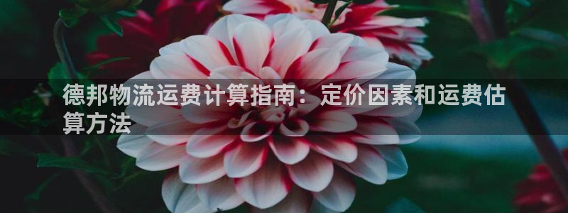 28圈稳吗：德邦物流运费计算指南：定