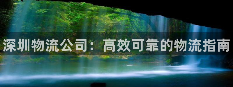 28圈最稳打法：深圳物流公司：高效可