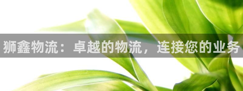 28圈初始资金密码是什么：狮鑫物流：