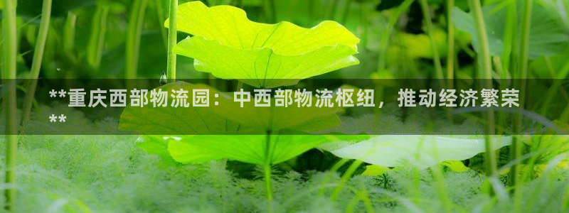 28圈电子游戏