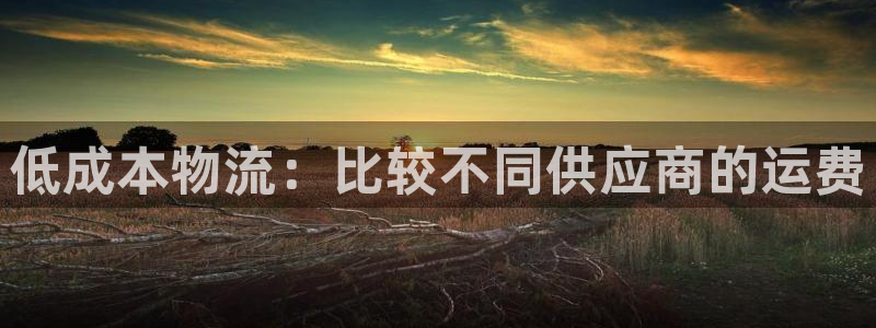 28圈电子：低成本物流：比较不同供应