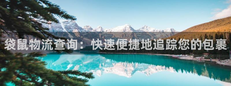 28圈注册登录链接：袋鼠物流查询：快