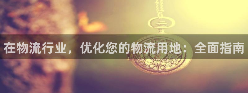 28圈充值不处理：在物流行业，优化您