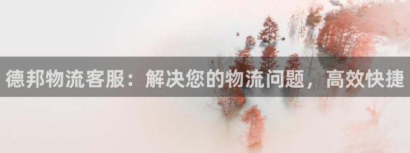 28圈充值不处理会怎么样：德邦物流客