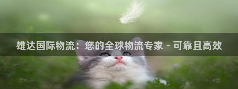 28圈初始密码在哪里修改的：雄达国际