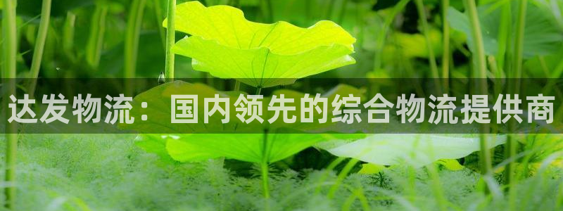 28圈反水什么时候到：达发物流：国内
