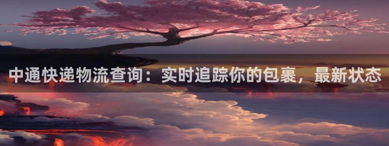 28圈黑吗：中通快递物流查询：实时追