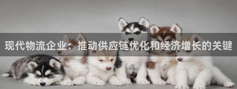 28圈是正规软件吗：现代物流企业：推
