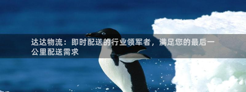 28圈怎么下载不了：达达物流：即时配