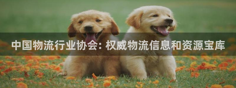 28圈ccm游戏：中国物流行业协会: