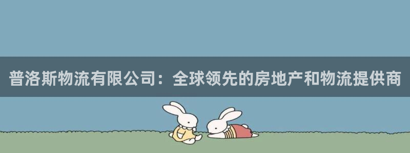 28圈加拿大pc预测：普洛斯物流有限