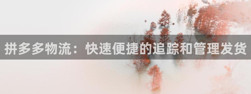 28圈.ccmapp：拼多多物流：快