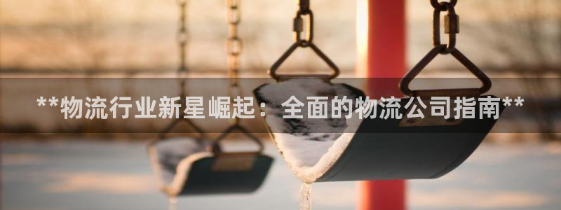 28圈p扣除：**物流行业新星崛起：