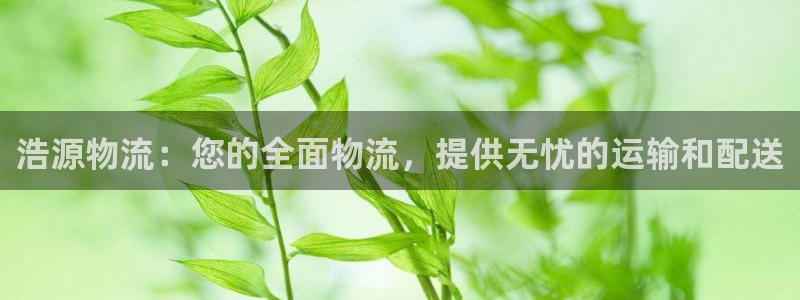 28圈官网下载链接是什么：浩源物流：