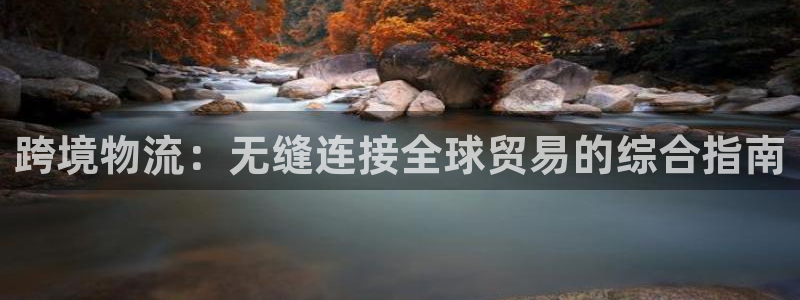 28圈注册流程：跨境物流：无缝连接全