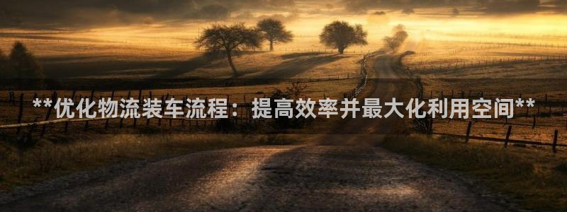 28圈麻将胡了：**优化物流装车流程