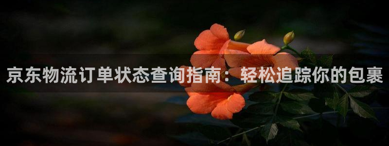 28圈加拿大预测：京东物流订单状态查