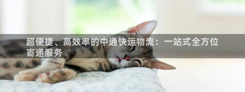 28圈注册：超便捷、高效率的中通快运
