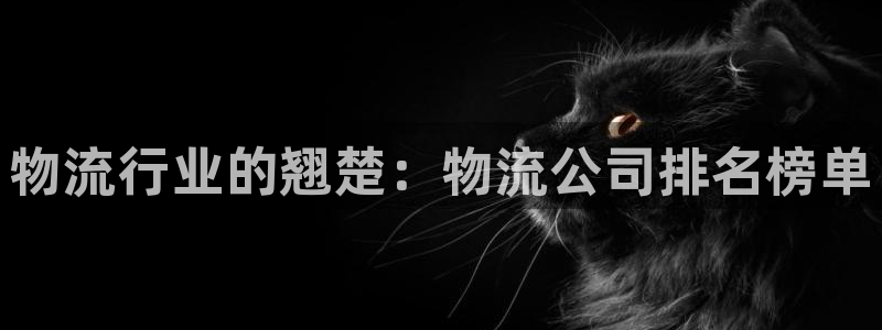 28圈注册网站多少钱：物流行业的翘楚