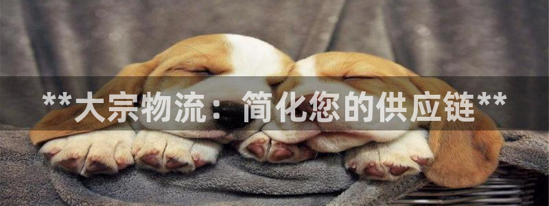 28圈和南宫28什么关系：**大宗物