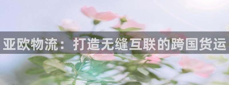 28圈PG电子游戏：亚欧物流：打造无