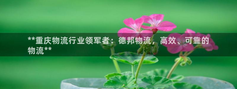 28圈机器人是什么软件：**重庆物流