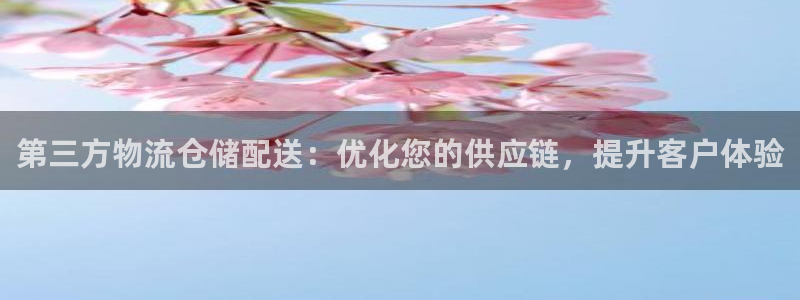 28圈网赌案件：第三方物流仓储配送：