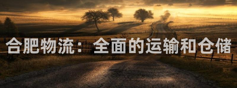 28圈官网版2024：合肥物流：全面