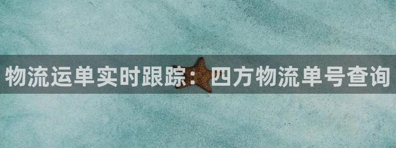 28圈官网链接：物流运单实时跟踪：四