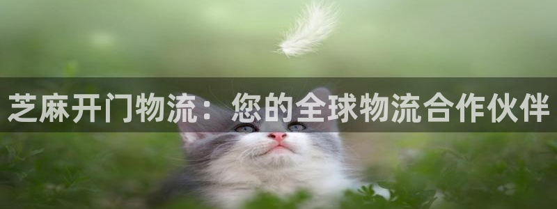 28圈登录流程：芝麻开门物流：您的全
