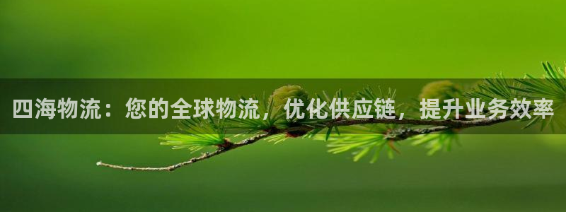 28圈登录流程：四海物流：您的全球物